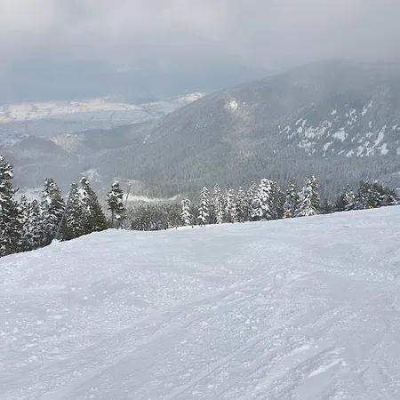 Spacious And Cosy In Royal Towers Complex Apartament *