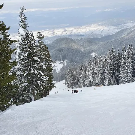 Spacious And Cosy In Royal Towers Complex Apartament