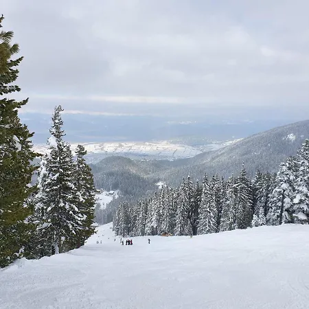 Apartament Spacious And Cosy In Royal Towers Complex *