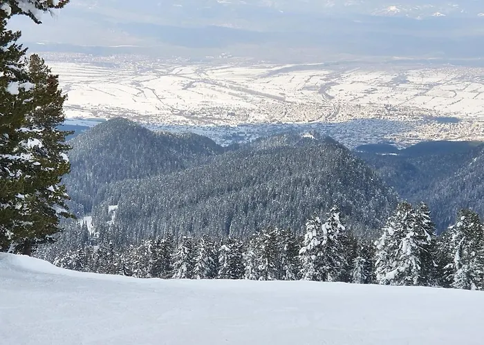 Apartment Spacious And Cosy In Royal Towers Complex Bansko