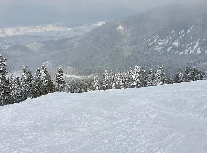 Spacious And Cosy In Royal Towers Complex Apartment *