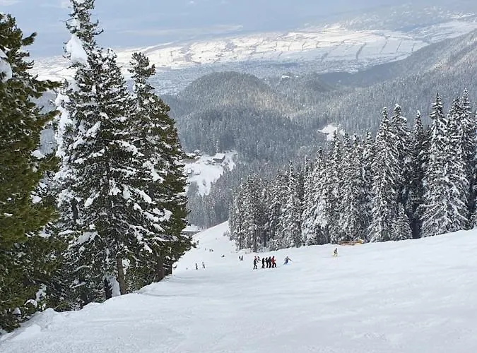 Spacious And Cosy In Royal Towers Complex Apartment