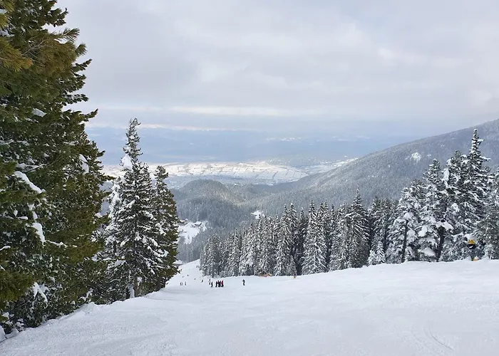 Apartment Spacious And Cosy In Royal Towers Complex *